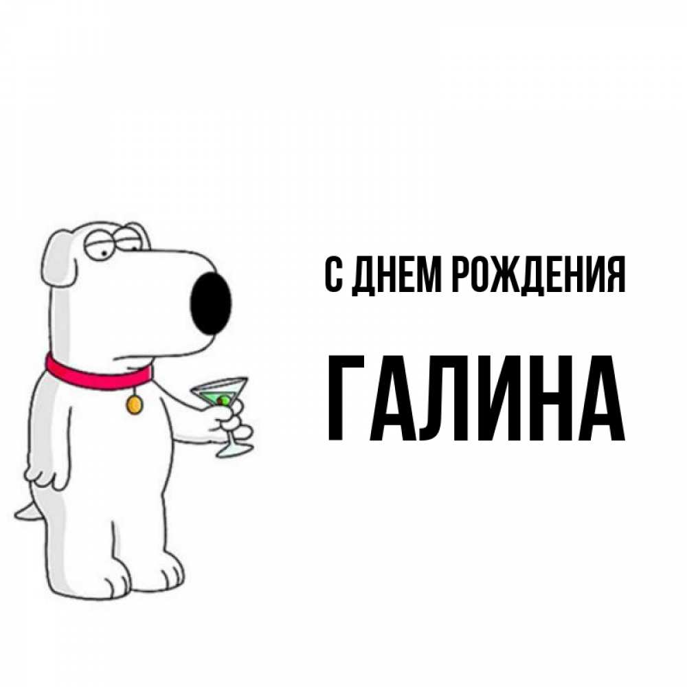 Открытка на каждый день с именем, Галина С днем рождения песик с оливками Прикольная открытка с пожеланием онлайн скачать бесплатно 