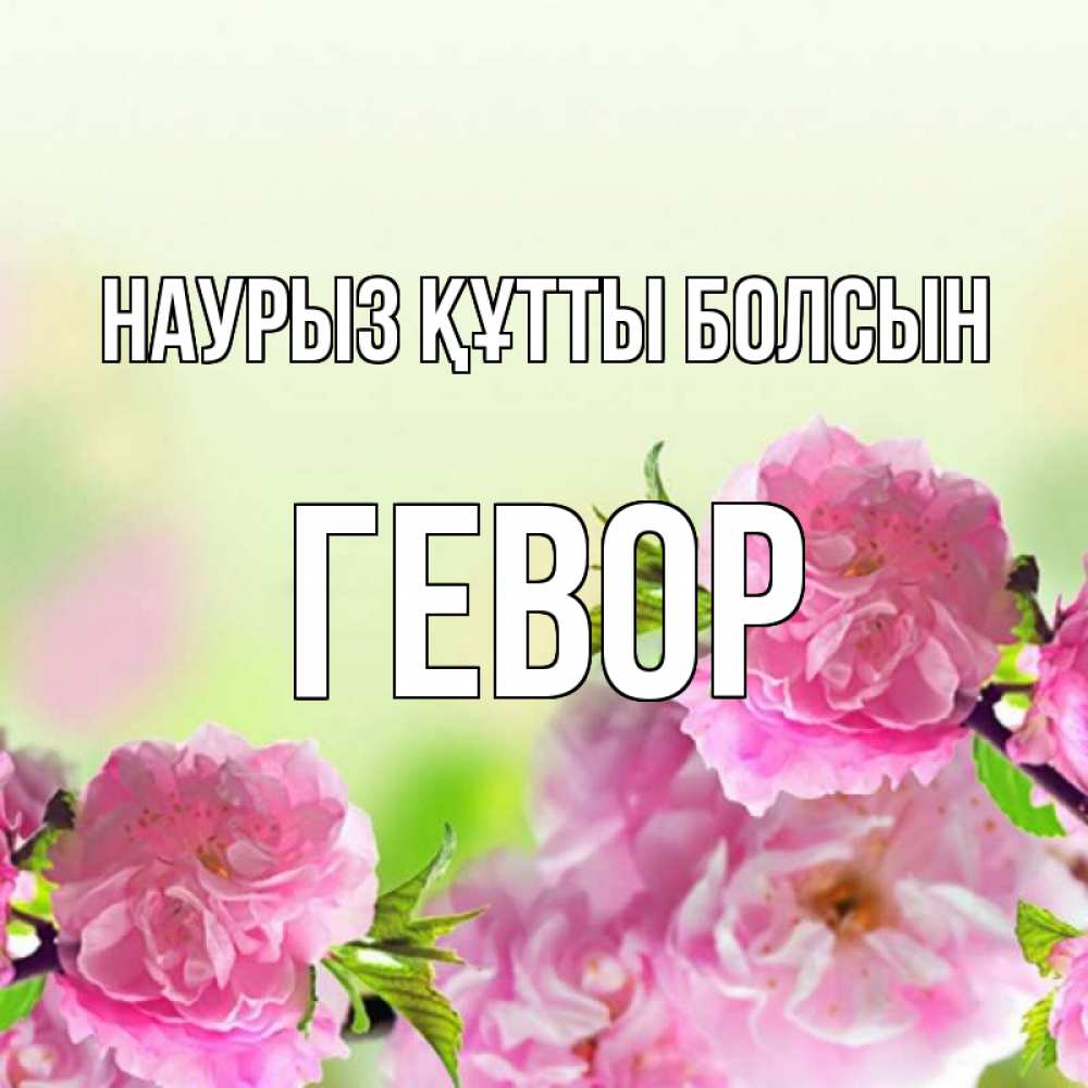 Открытка на каждый день с именем, Гевор Наурыз құтты болсын цветы Прикольная открытка с пожеланием онлайн скачать бесплатно 