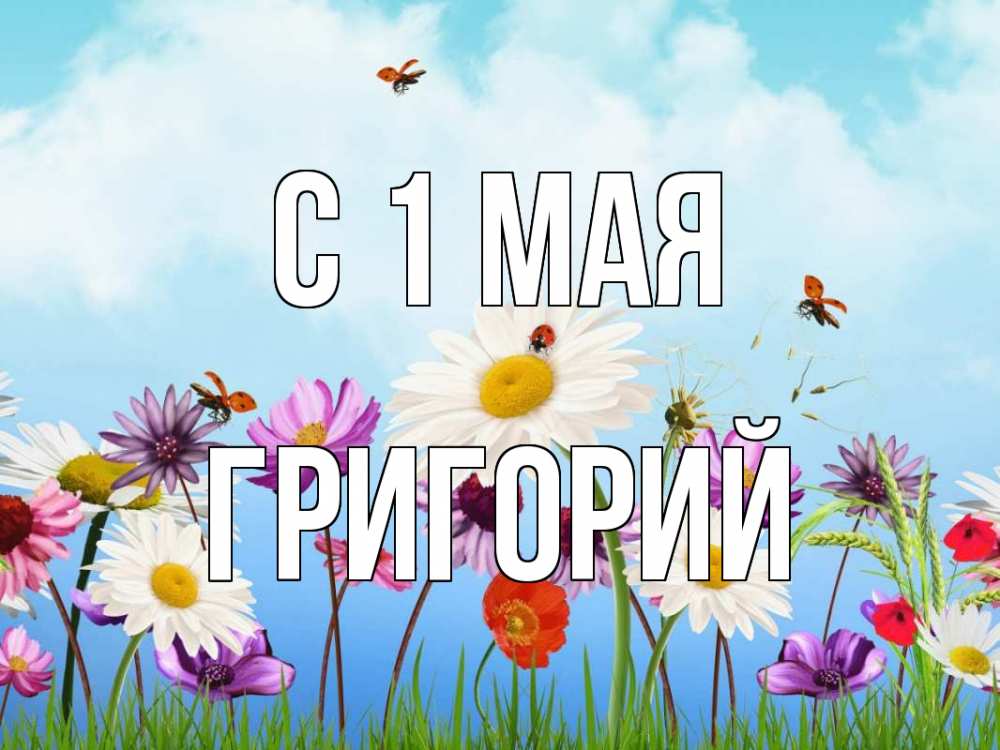 Открытка на каждый день с именем, Григорий С 1 мая С 1 мая Прикольная открытка с пожеланием онлайн скачать бесплатно 