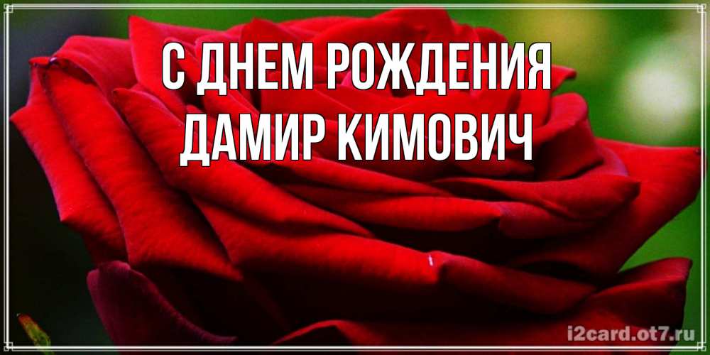 Открытка на каждый день с именем, Дамир-Кимович С днем рождения розочка очень красивая Прикольная открытка с пожеланием онлайн скачать бесплатно 