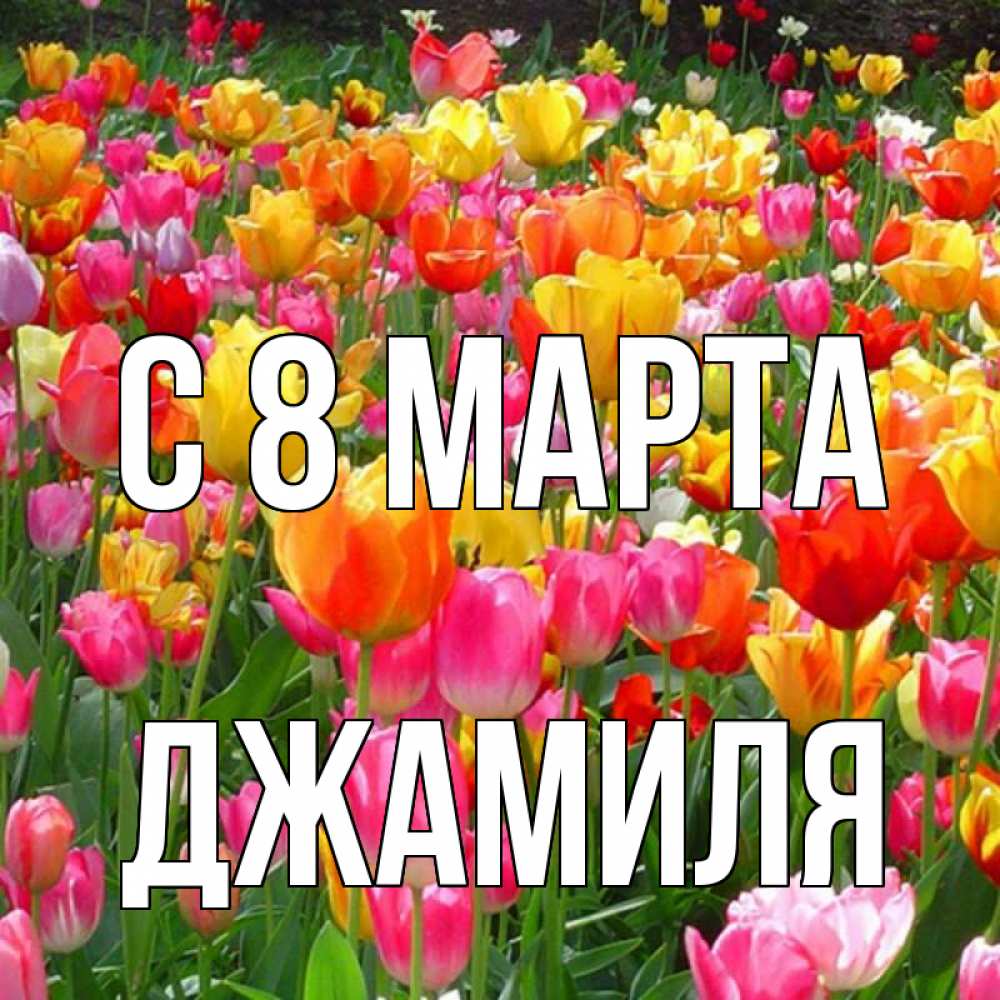 Открытка на каждый день с именем, Джамиля С 8 МАРТА на международный женский день Прикольная открытка с пожеланием онлайн скачать бесплатно 