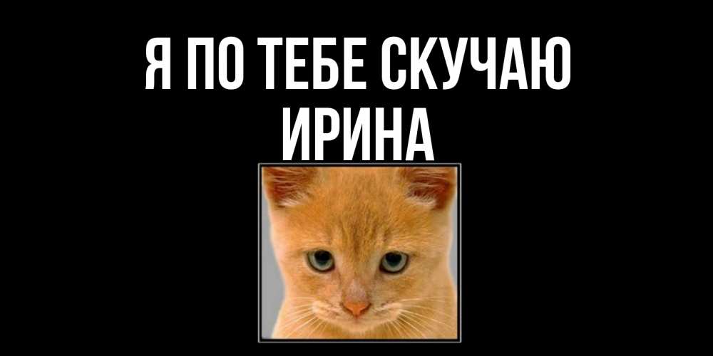 Открытка на каждый день с именем, Ирина Я по тебе скучаю открытки рыжий котенок скучает по тебе Прикольная открытка с пожеланием онлайн скачать бесплатно 