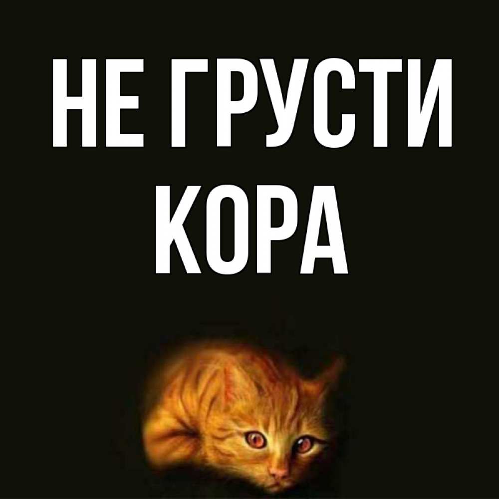 Открытка на каждый день с именем, Кора Не грусти лежащий кот в темноте Прикольная открытка с пожеланием онлайн скачать бесплатно 