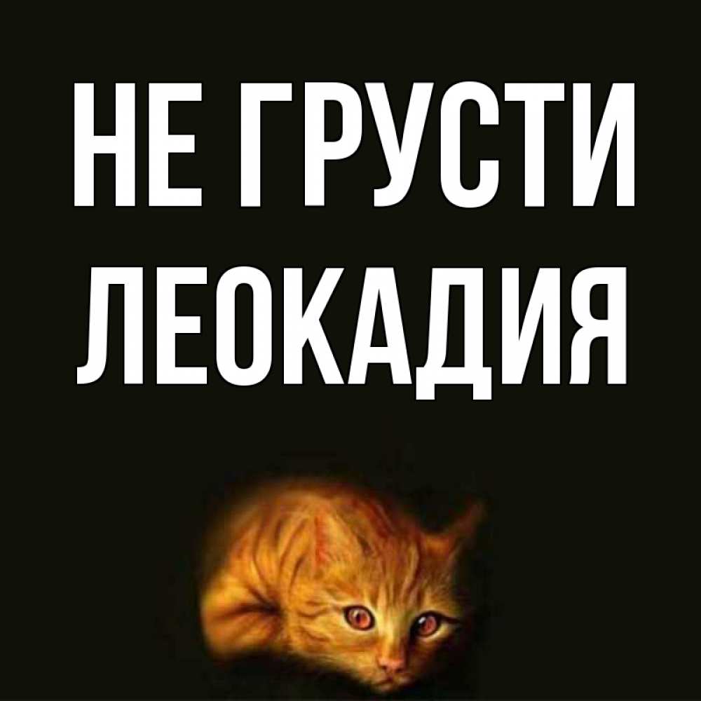 Открытка на каждый день с именем, Леокадия Не грусти лежащий кот в темноте Прикольная открытка с пожеланием онлайн скачать бесплатно 