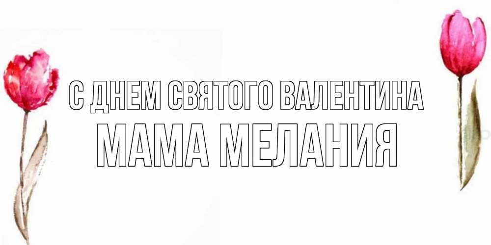 Открытка на каждый день с именем, Мама-Мелания С днем Святого Валентина Открытки на день всех влюбленных с тюльпанами акварелью Прикольная открытка с пожеланием онлайн скачать бесплатно 