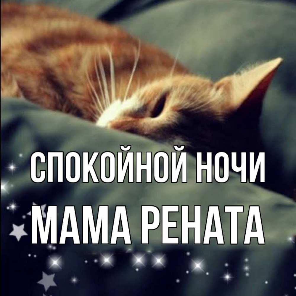 Открытка на каждый день с именем, Мама-Рената Спокойной ночи кроватка Прикольная открытка с пожеланием онлайн скачать бесплатно 
