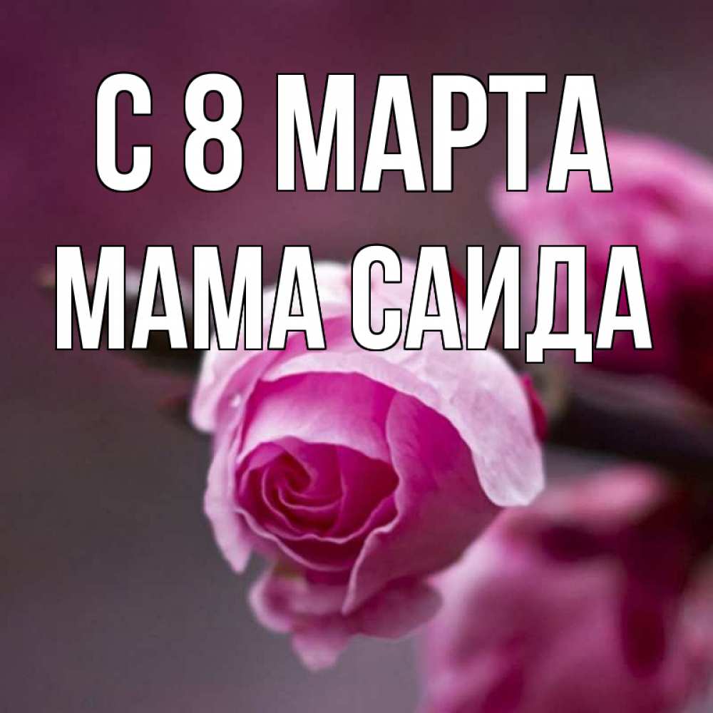 Открытка на каждый день с именем, Мама-Саида С 8 МАРТА весна Прикольная открытка с пожеланием онлайн скачать бесплатно 