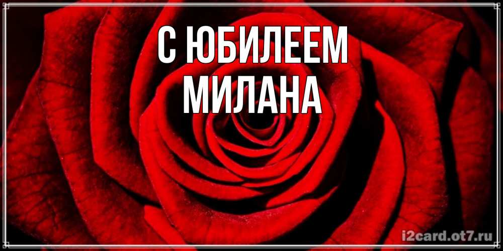 Открытка на каждый день с именем, Милана С юбилеем алая роза Прикольная открытка с пожеланием онлайн скачать бесплатно 