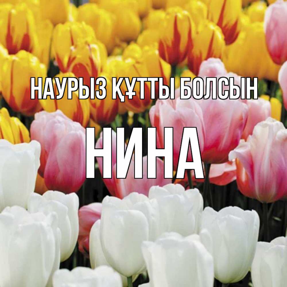 Открытка на каждый день с именем, Нина Наурыз құтты болсын разноцветные цветы Прикольная открытка с пожеланием онлайн скачать бесплатно 