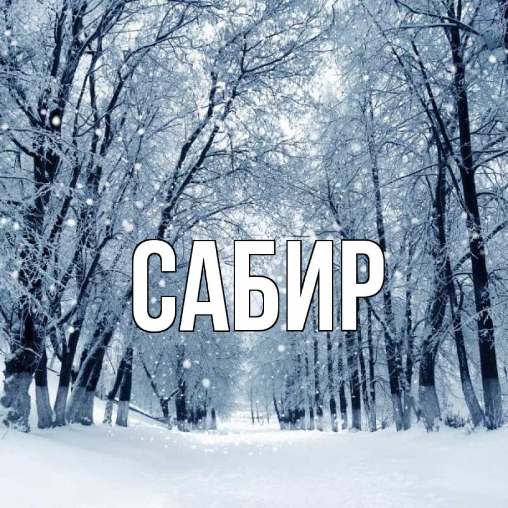 Открытка на каждый день с именем, Сабир Главная снег, лес, парк Прикольная открытка с пожеланием онлайн скачать бесплатно 