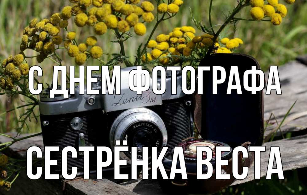 Открытка на каждый день с именем, Сестрёнка-Веста С днем фотографа с днем фотографа Прикольная открытка с пожеланием онлайн скачать бесплатно 