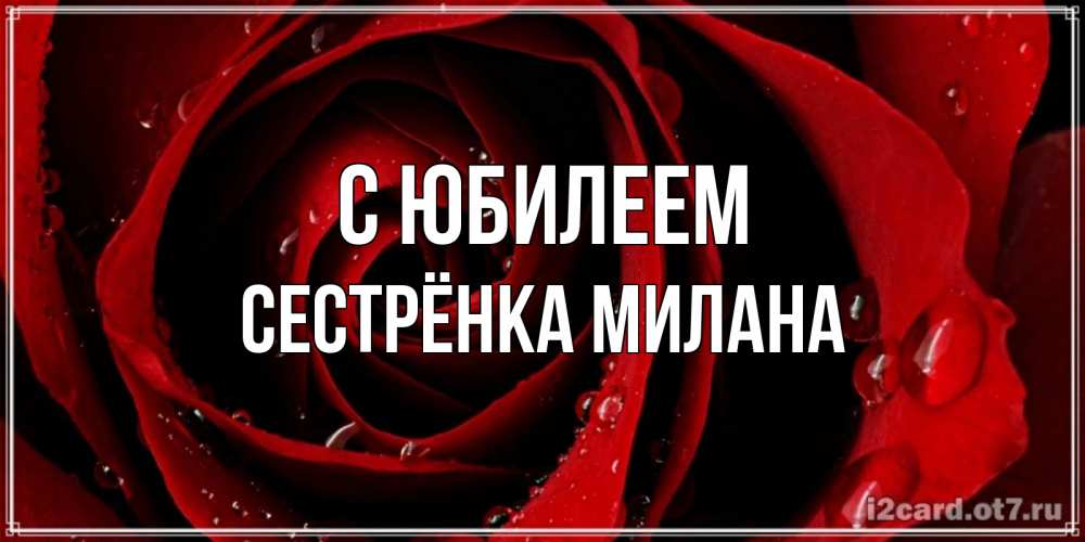 Открытка на каждый день с именем, Сестрёнка-Милана С юбилеем крупная бордовая роза Прикольная открытка с пожеланием онлайн скачать бесплатно 