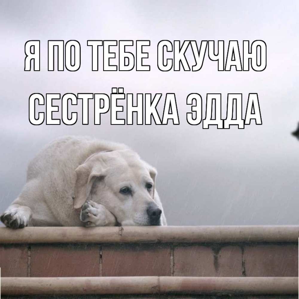 Открытка на каждый день с именем, Сестрёнка-Эдда Я по тебе скучаю ждет Прикольная открытка с пожеланием онлайн скачать бесплатно 