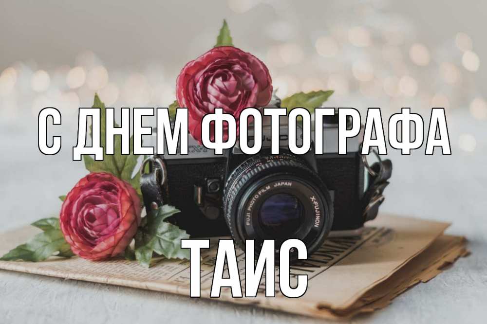 Открытка на каждый день с именем, Таис С днем фотографа с днем фотографа Прикольная открытка с пожеланием онлайн скачать бесплатно 