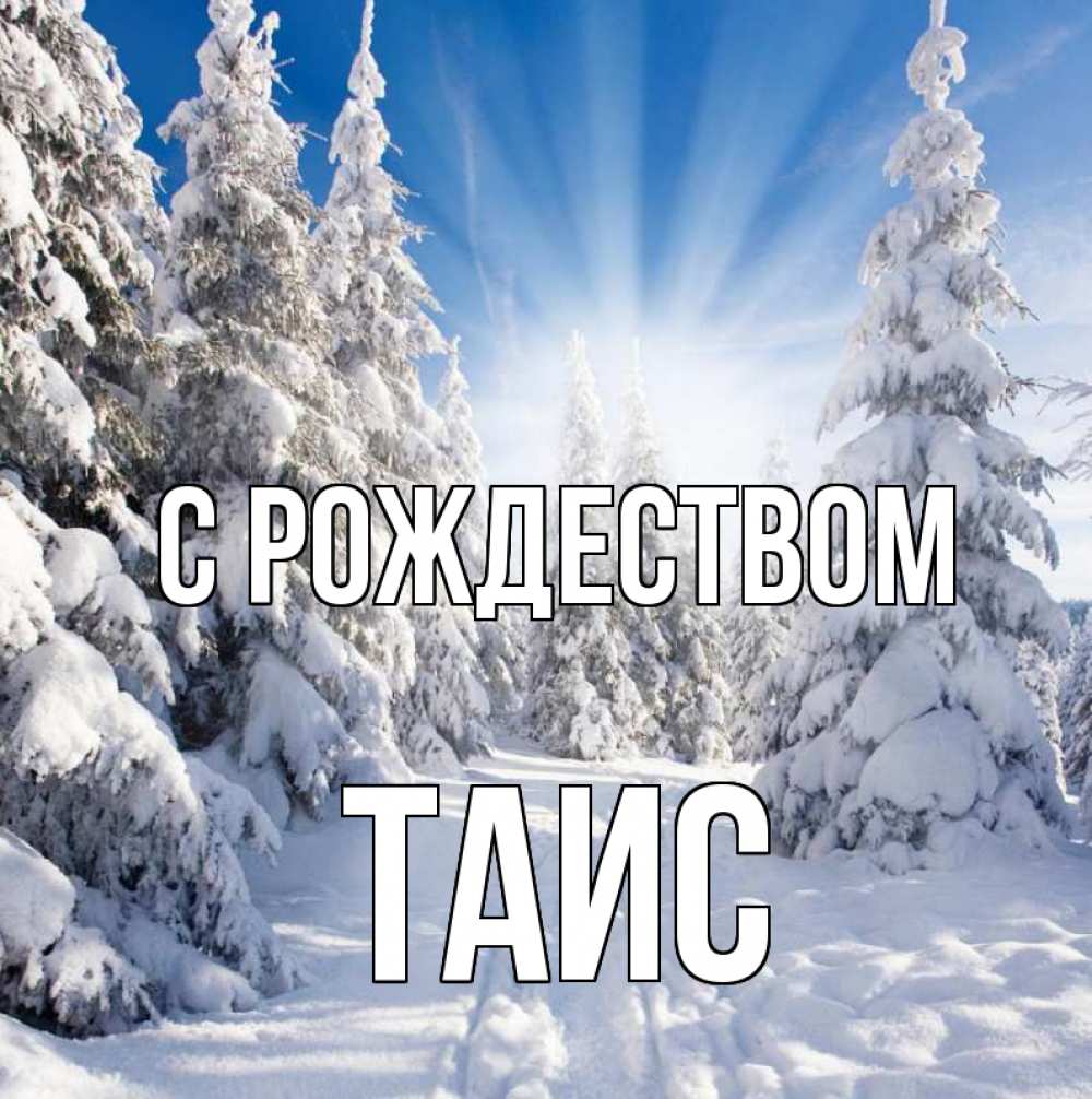 Открытка на каждый день с именем, Таис С рождеством зима, лес Прикольная открытка с пожеланием онлайн скачать бесплатно 