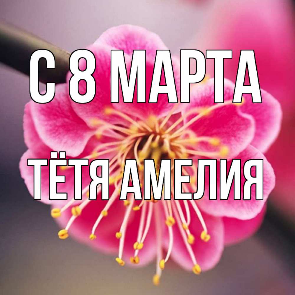 Открытка на каждый день с именем, Тётя-Амелия С 8 МАРТА цветы Прикольная открытка с пожеланием онлайн скачать бесплатно 