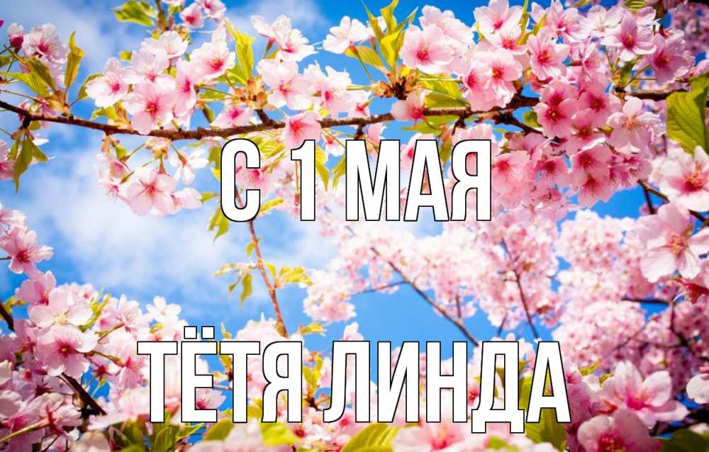 Открытка на каждый день с именем, Тётя-Линда С 1 мая С 1 мая Прикольная открытка с пожеланием онлайн скачать бесплатно 