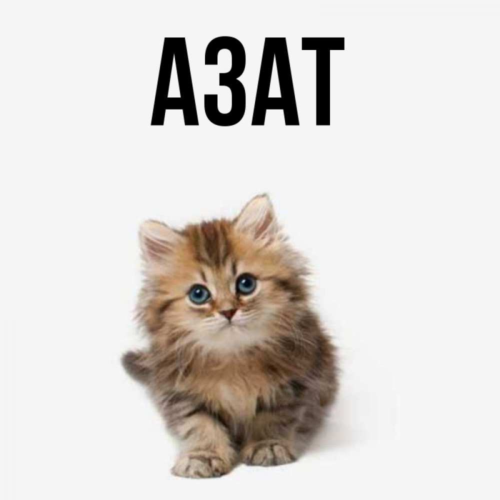Смешные картинки с именем азат