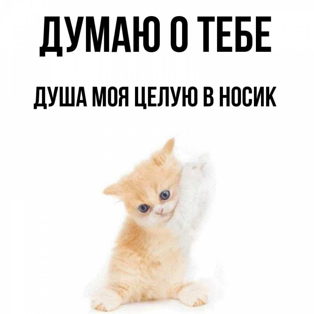 Песня я думаю