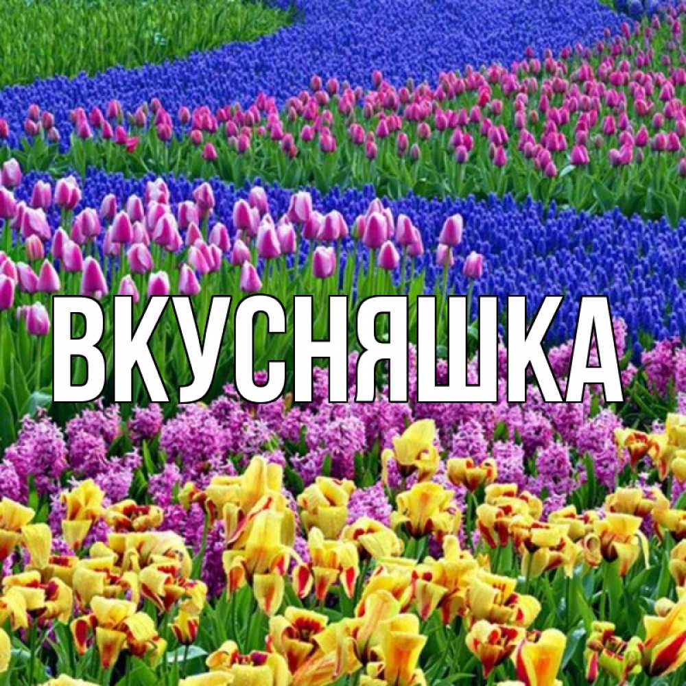 Открытка на каждый день с именем, Вкусняшка Главная цветы Прикольная открытка с пожеланием онлайн скачать бесплатно 