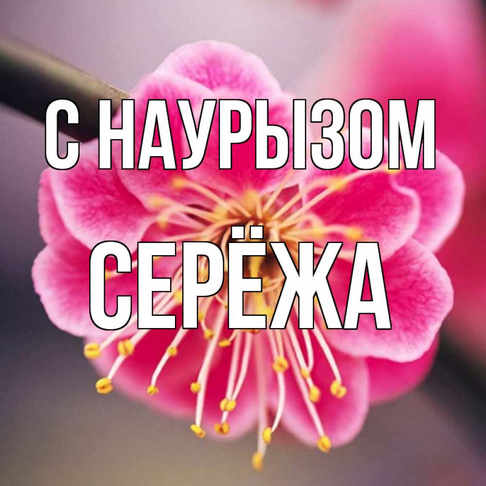 Картинка С наурызом, Серёжа