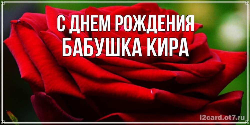 Открытка на каждый день с именем, Бабушка-Кира С днем рождения розочка очень красивая Прикольная открытка с пожеланием онлайн скачать бесплатно 