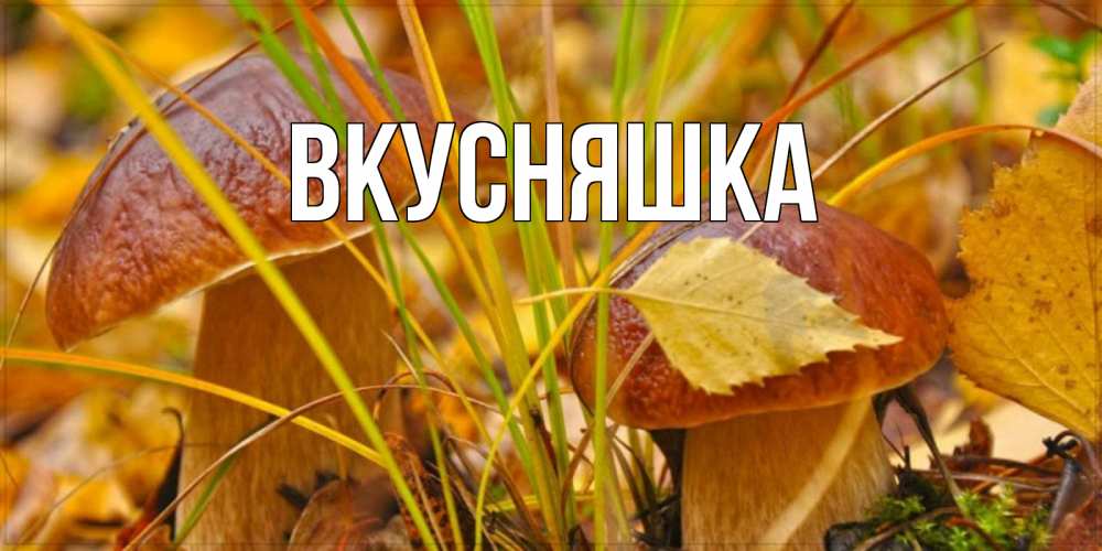 Открытка на каждый день с именем, Вкусняшка Главная осенние грибы Прикольная открытка с пожеланием онлайн скачать бесплатно 