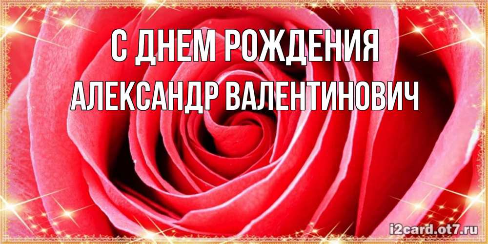 Открытка на каждый день с именем, Александр-Валентинович С днем рождения розовая роза очень крупный бутон Прикольная открытка с пожеланием онлайн скачать бесплатно 