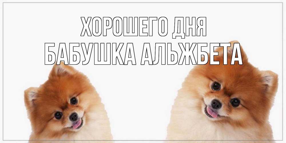 Открытка на каждый день с именем, Бабушка-Альжбета Хорошего дня собачки желают прекрасного дня Прикольная открытка с пожеланием онлайн скачать бесплатно 