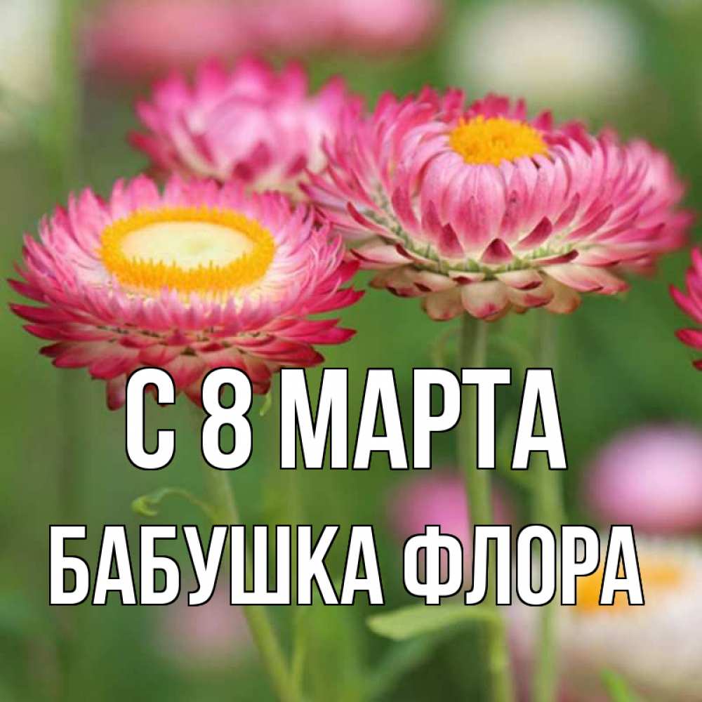 Открытка на каждый день с именем, Бабушка-Флора С 8 марта подарок на международный женский день Прикольная открытка с пожеланием онлайн скачать бесплатно 