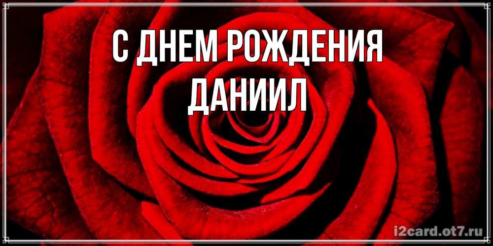 Открытка на каждый день с именем, Даниил С днем рождения алая роза Прикольная открытка с пожеланием онлайн скачать бесплатно 