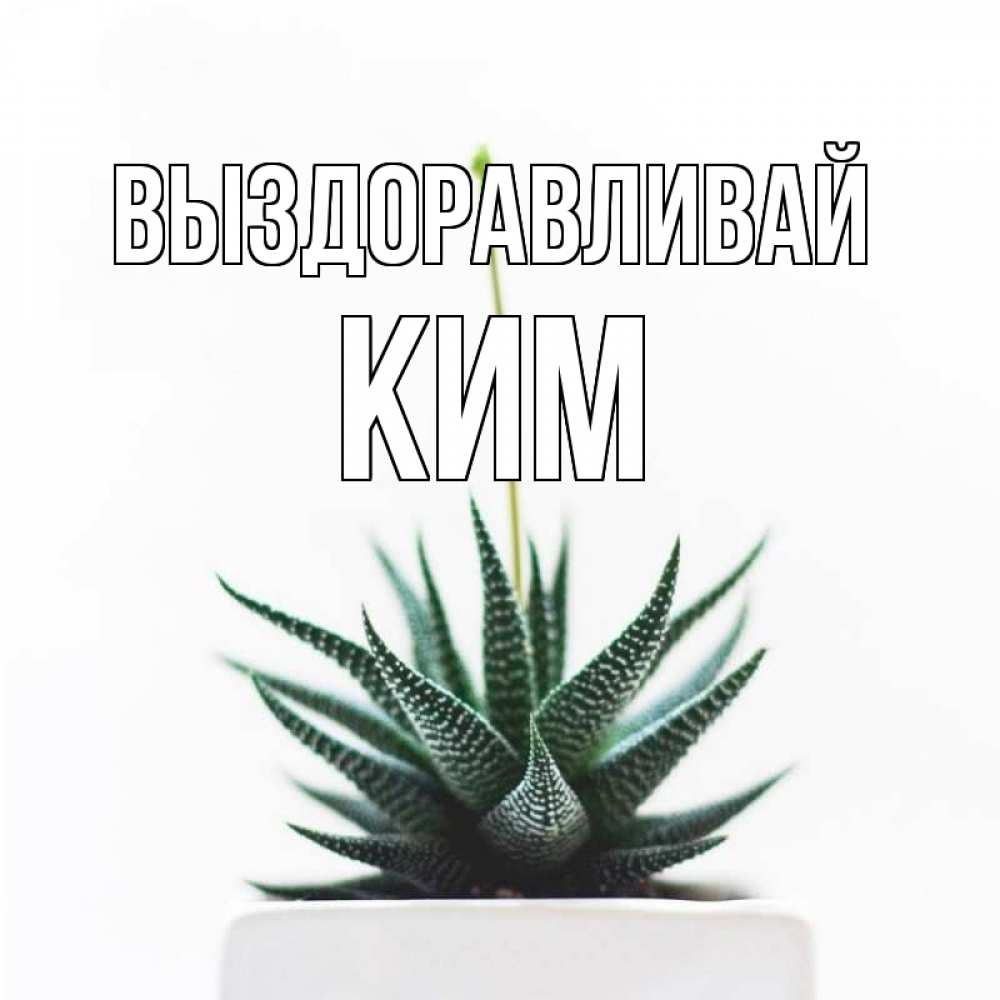 Открытка на каждый день с именем, Ким Выздоравливай короче это непонятная колючка Прикольная открытка с пожеланием онлайн скачать бесплатно 