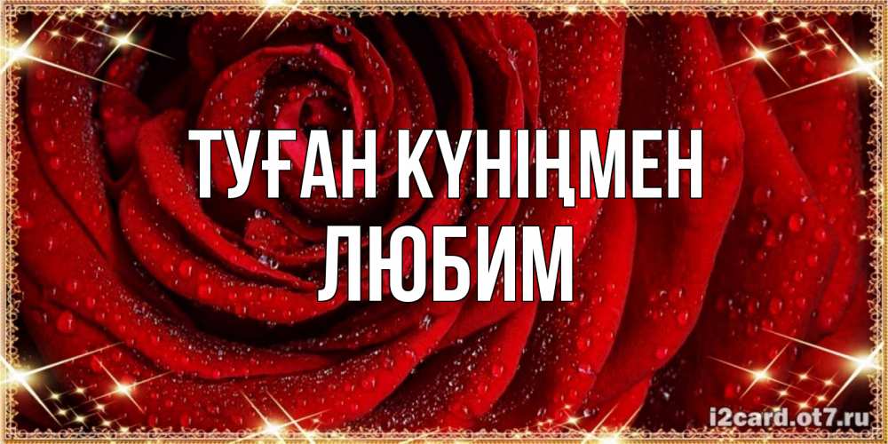 Открытка на каждый день с именем, Любим Туған күніңмен роса на розе блестящая в лучах солнца Прикольная открытка с пожеланием онлайн скачать бесплатно 