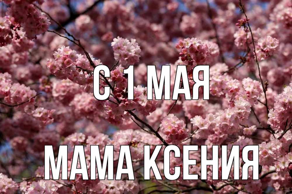 Открытка на каждый день с именем, Мама-Ксения С 1 мая С 1 мая Прикольная открытка с пожеланием онлайн скачать бесплатно 