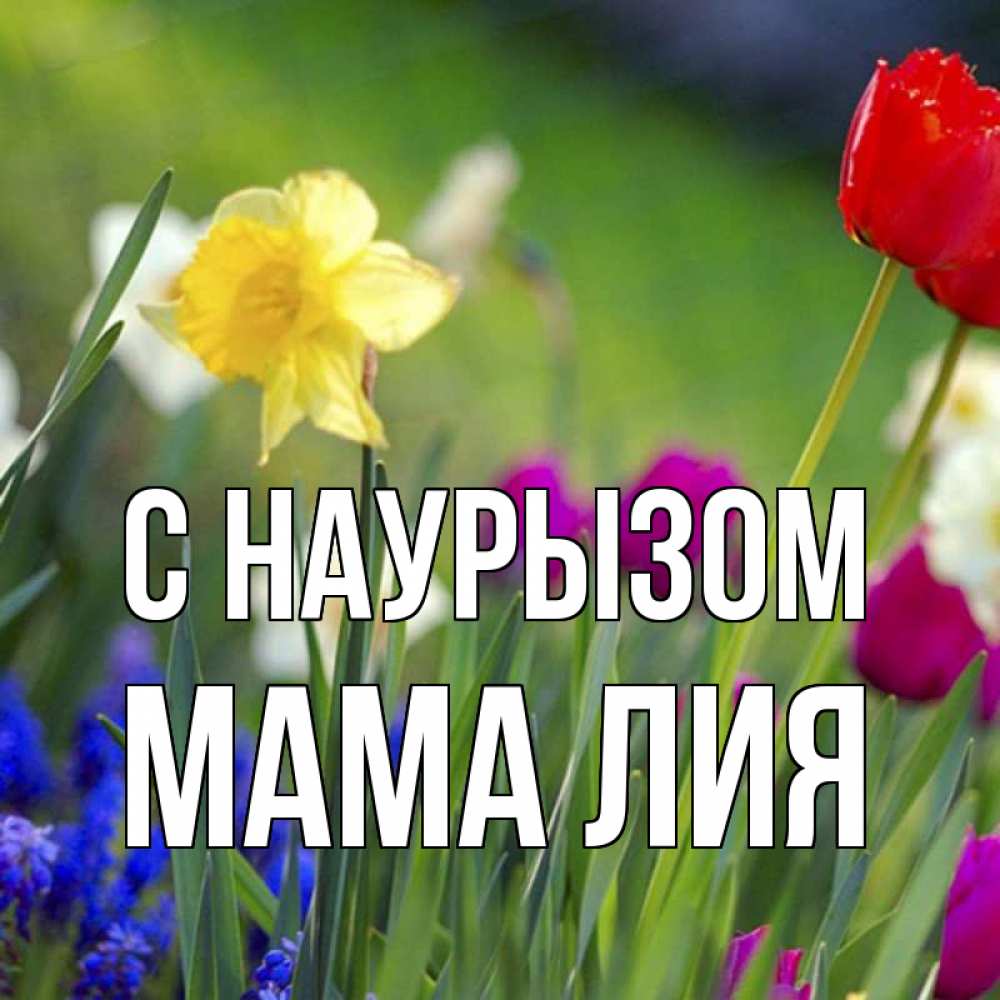 Открытка на каждый день с именем, Мама-Лия С наурызом праздник весны наурыз 3 Прикольная открытка с пожеланием онлайн скачать бесплатно 