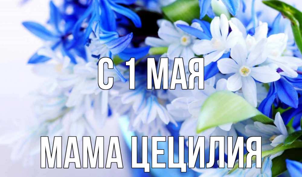 Открытка на каждый день с именем, Мама-Цецилия С 1 мая С 1 мая Прикольная открытка с пожеланием онлайн скачать бесплатно 