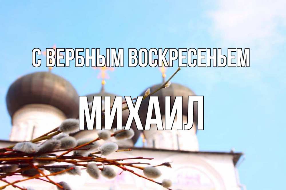 Открытка на каждый день с именем, Михаил С вербным воскресеньем верба Прикольная открытка с пожеланием онлайн скачать бесплатно 