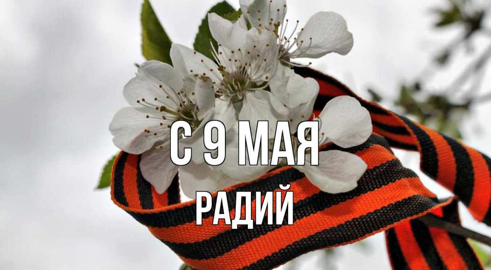 Открытка на каждый день с именем, Радий С 9 мая 9 мая Прикольная открытка с пожеланием онлайн скачать бесплатно 