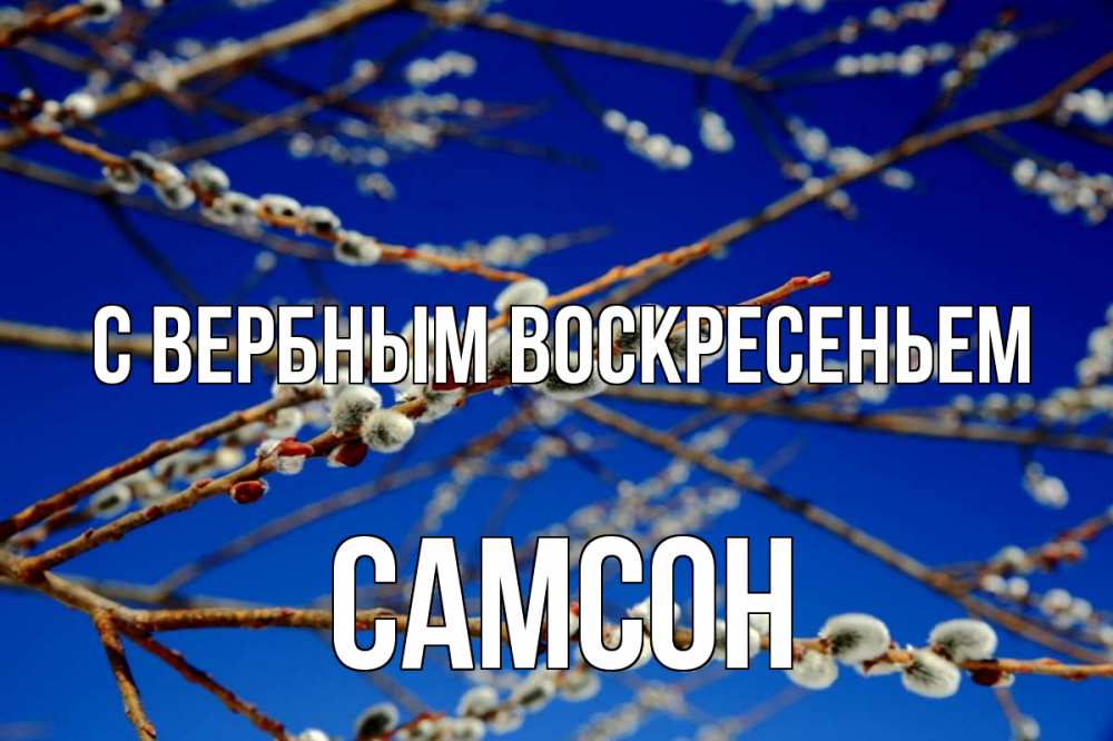 Открытка на каждый день с именем, Самсон С вербным воскресеньем верба Прикольная открытка с пожеланием онлайн скачать бесплатно 