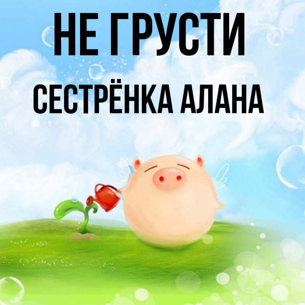 Открытка на каждый день с именем, Сестрёнка-Алана Не грусти поливает цветок порося Прикольная открытка с пожеланием онлайн скачать бесплатно 
