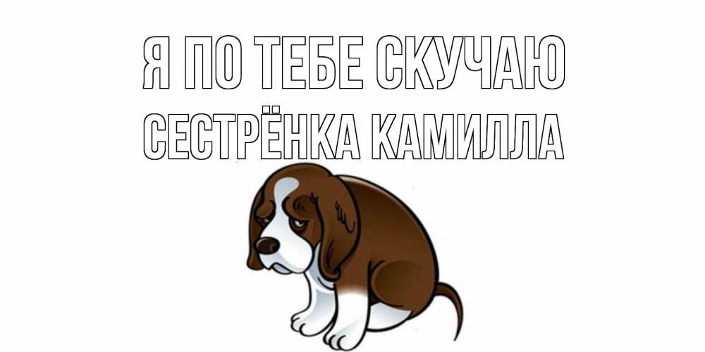 Открытка на каждый день с именем, Сестрёнка-Камилла Я по тебе скучаю я по тебе скучаю с щенком Прикольная открытка с пожеланием онлайн скачать бесплатно 