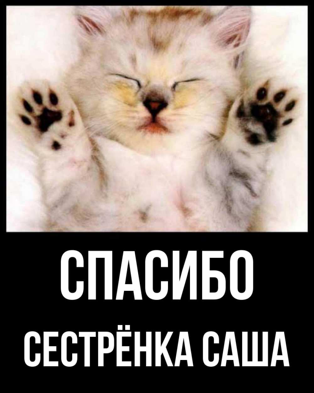 Открытка на каждый день с именем, Сестрёнка-Саша Спасибо маленький котенок Прикольная открытка с пожеланием онлайн скачать бесплатно 