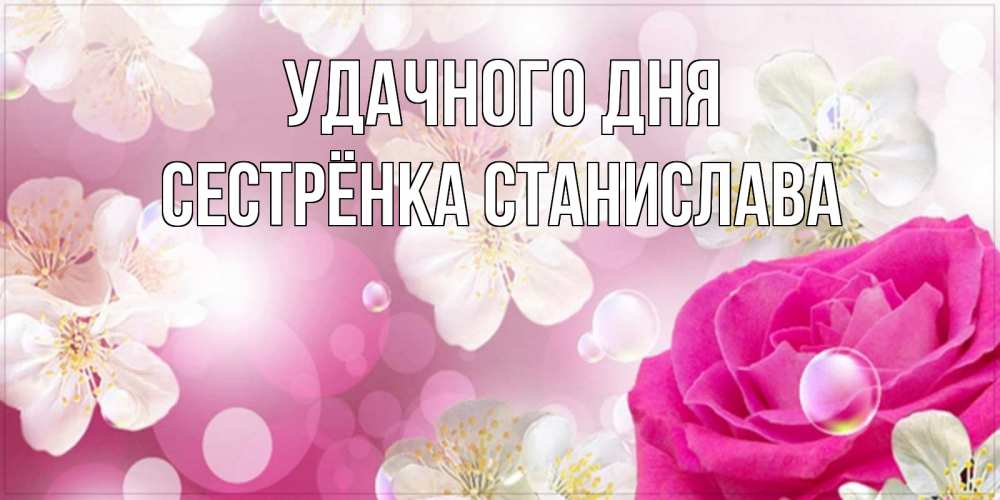 Открытка на каждый день с именем, Сестрёнка-Станислава Удачного дня красивые цветы Прикольная открытка с пожеланием онлайн скачать бесплатно 