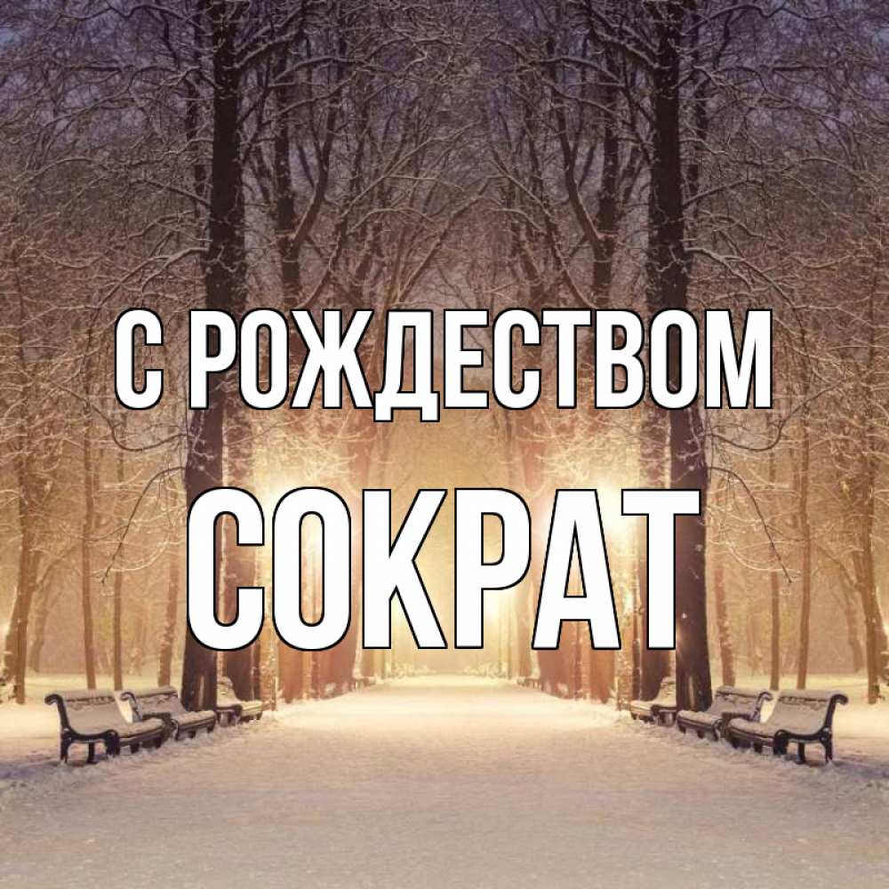 Открытка на каждый день с именем, Сократ С рождеством зима, парк, фонарь, лес Прикольная открытка с пожеланием онлайн скачать бесплатно 