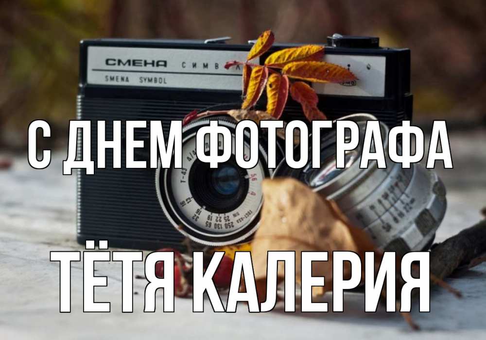 Открытка на каждый день с именем, Тётя-Калерия С днем фотографа с днем фотографа Прикольная открытка с пожеланием онлайн скачать бесплатно 