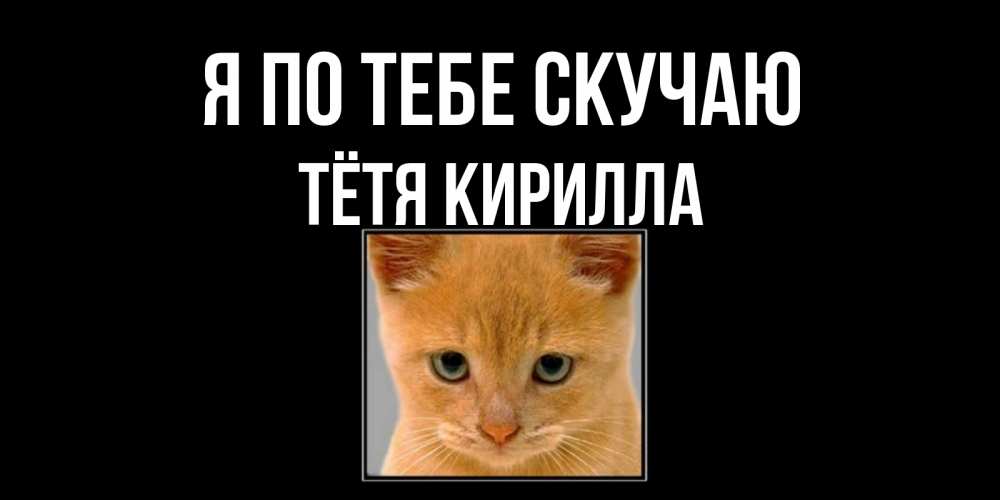 Открытка на каждый день с именем, Тётя-Кирилла Я по тебе скучаю открытки рыжий котенок скучает по тебе Прикольная открытка с пожеланием онлайн скачать бесплатно 