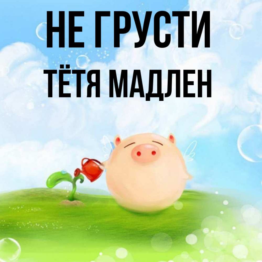 Открытка на каждый день с именем, Тётя-Мадлен Не грусти поливает цветок порося Прикольная открытка с пожеланием онлайн скачать бесплатно 