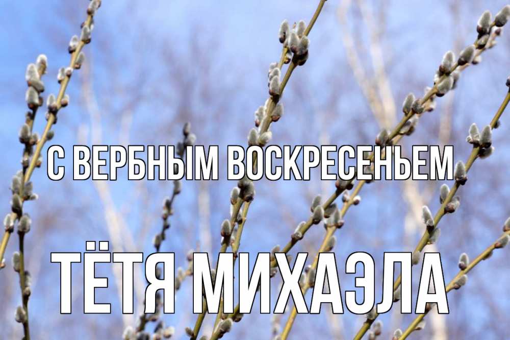 Открытка на каждый день с именем, Тётя-Михаэла С вербным воскресеньем верба Прикольная открытка с пожеланием онлайн скачать бесплатно 