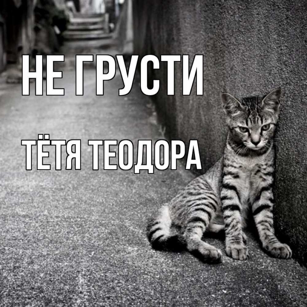 Открытка на каждый день с именем, Тётя-Теодора Не грусти скучающий котик Прикольная открытка с пожеланием онлайн скачать бесплатно 