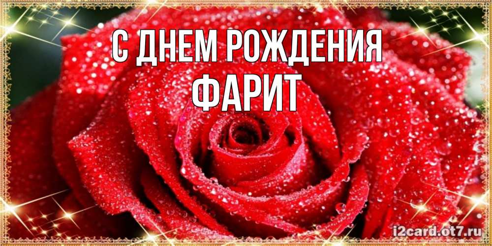 Открытка на каждый день с именем, Фарит С днем рождения роса и роза. открытка с красивой розой Прикольная открытка с пожеланием онлайн скачать бесплатно 